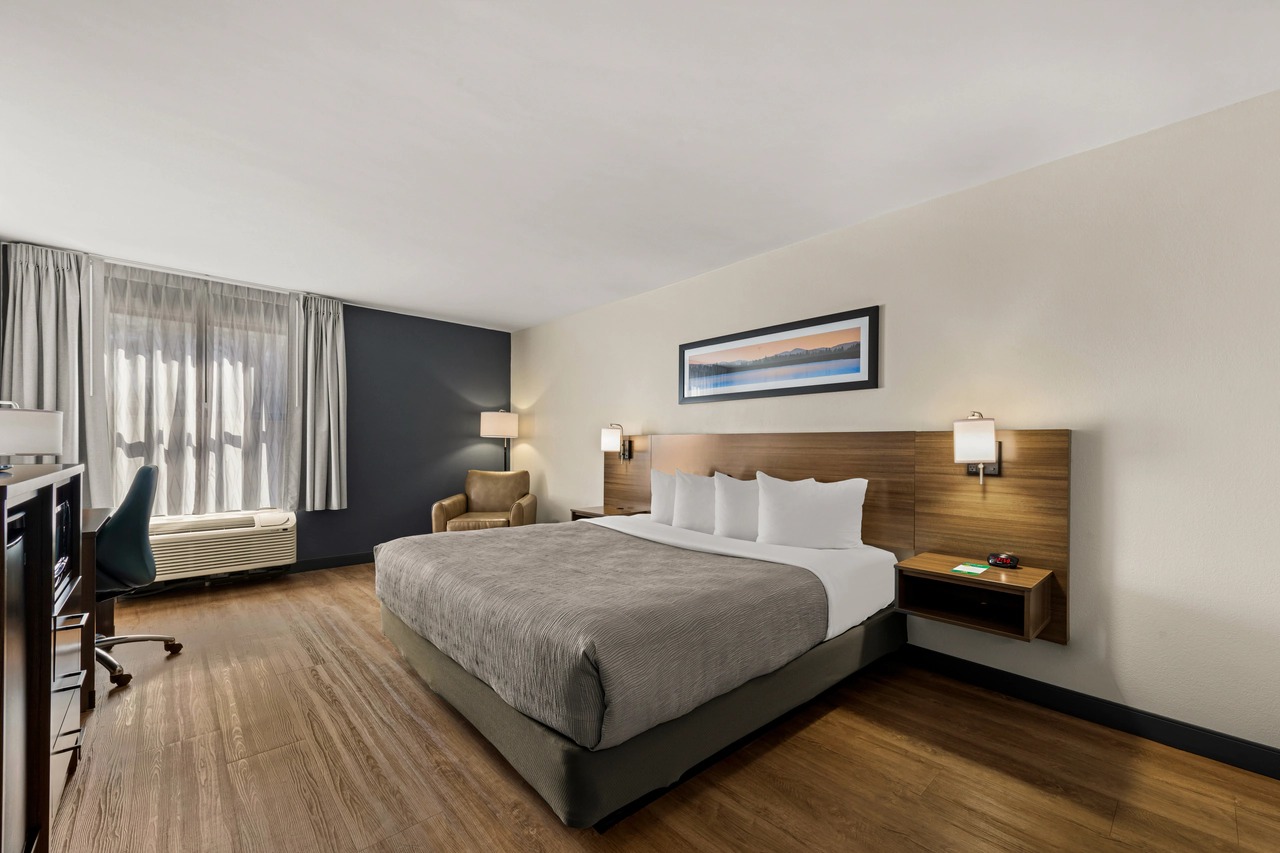 King Bed Room